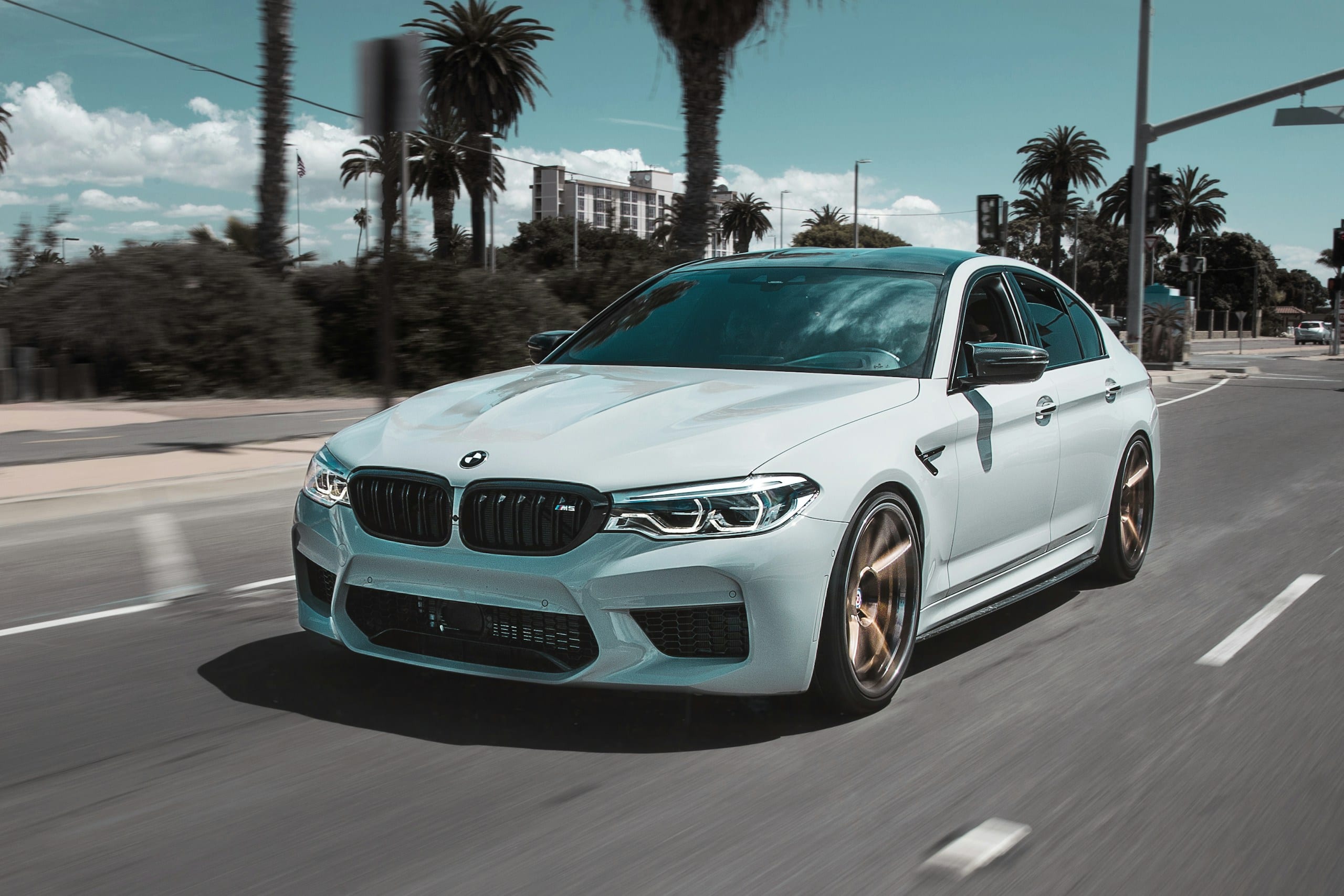 White BMW M5 on a palm-lined street: BMW Windshield Replacement & Repair, Blue Chip Auto Glass