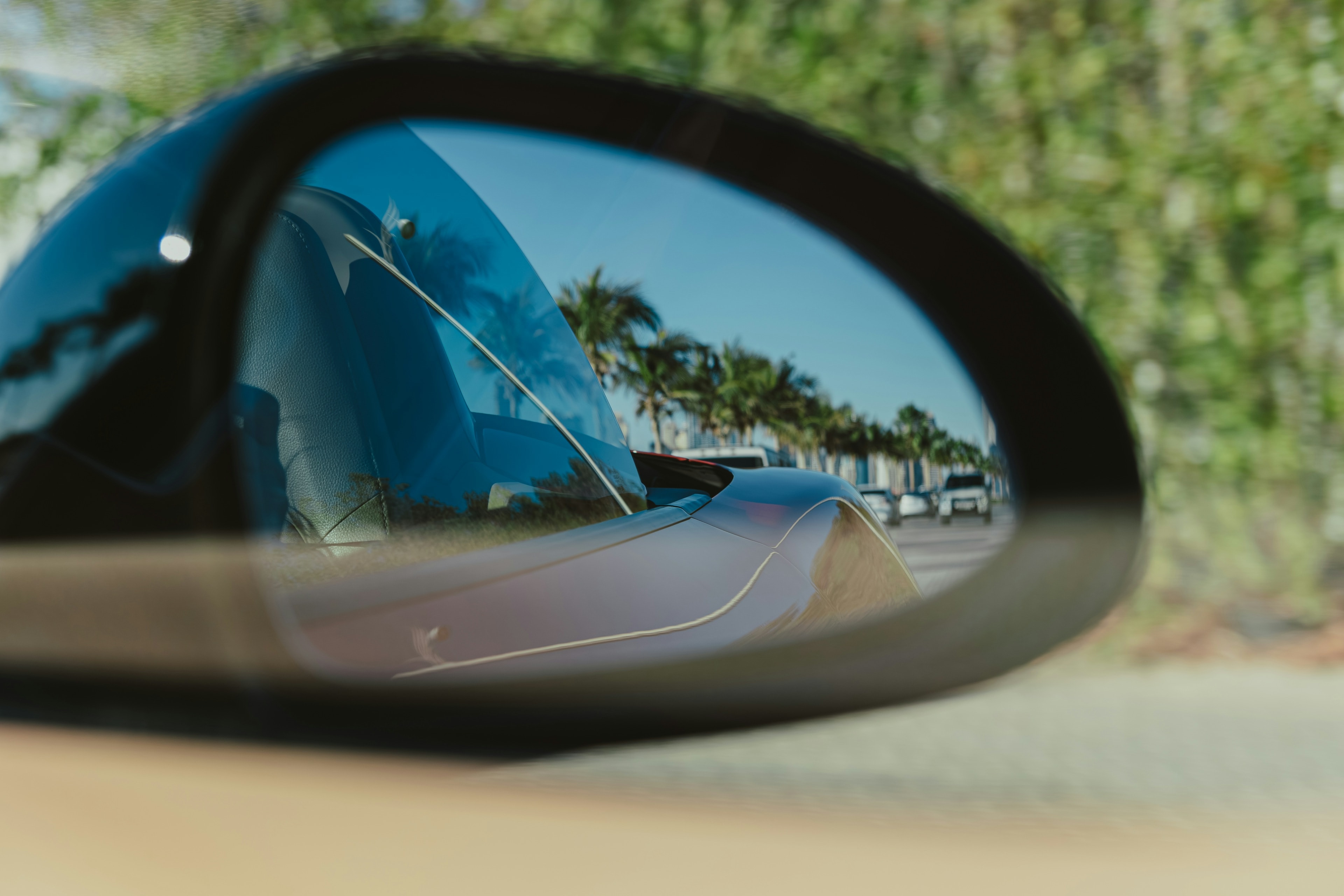 Side mirror reflecting palm trees: Blue Chip Auto Glass Phoenix shop