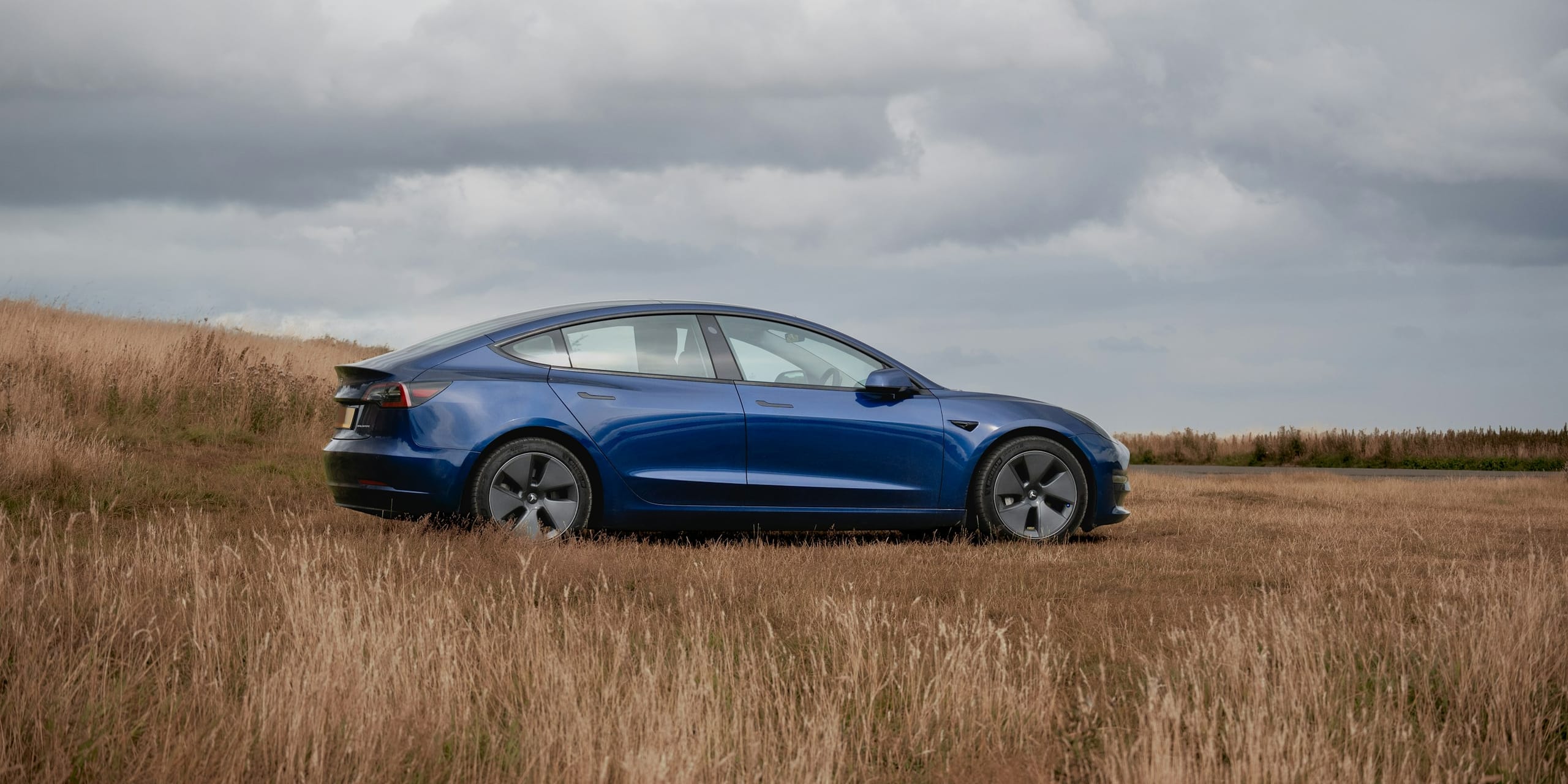 Blue Tesla Model 3 in a golden field: Tesla Model 3 Windshield & Glass Replacement, Blue Chip Auto Glass