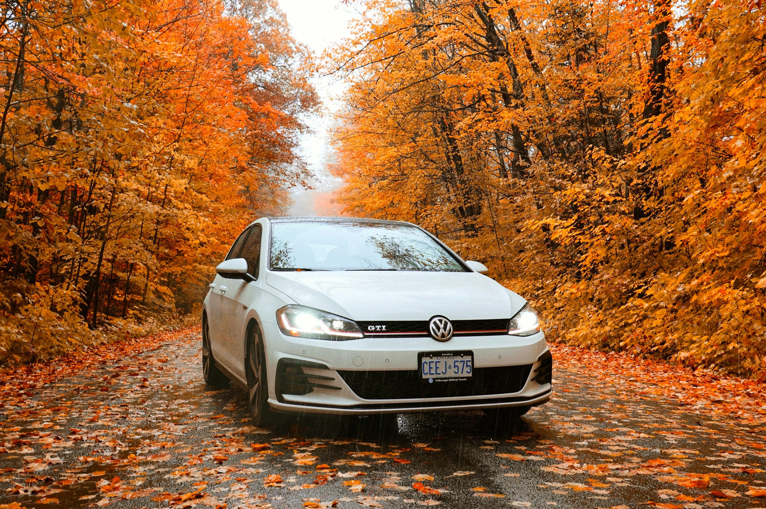 White Volkswagen GTI on a leafy road: Volkswagen Auto Glass, Blue Chip Auto Glass