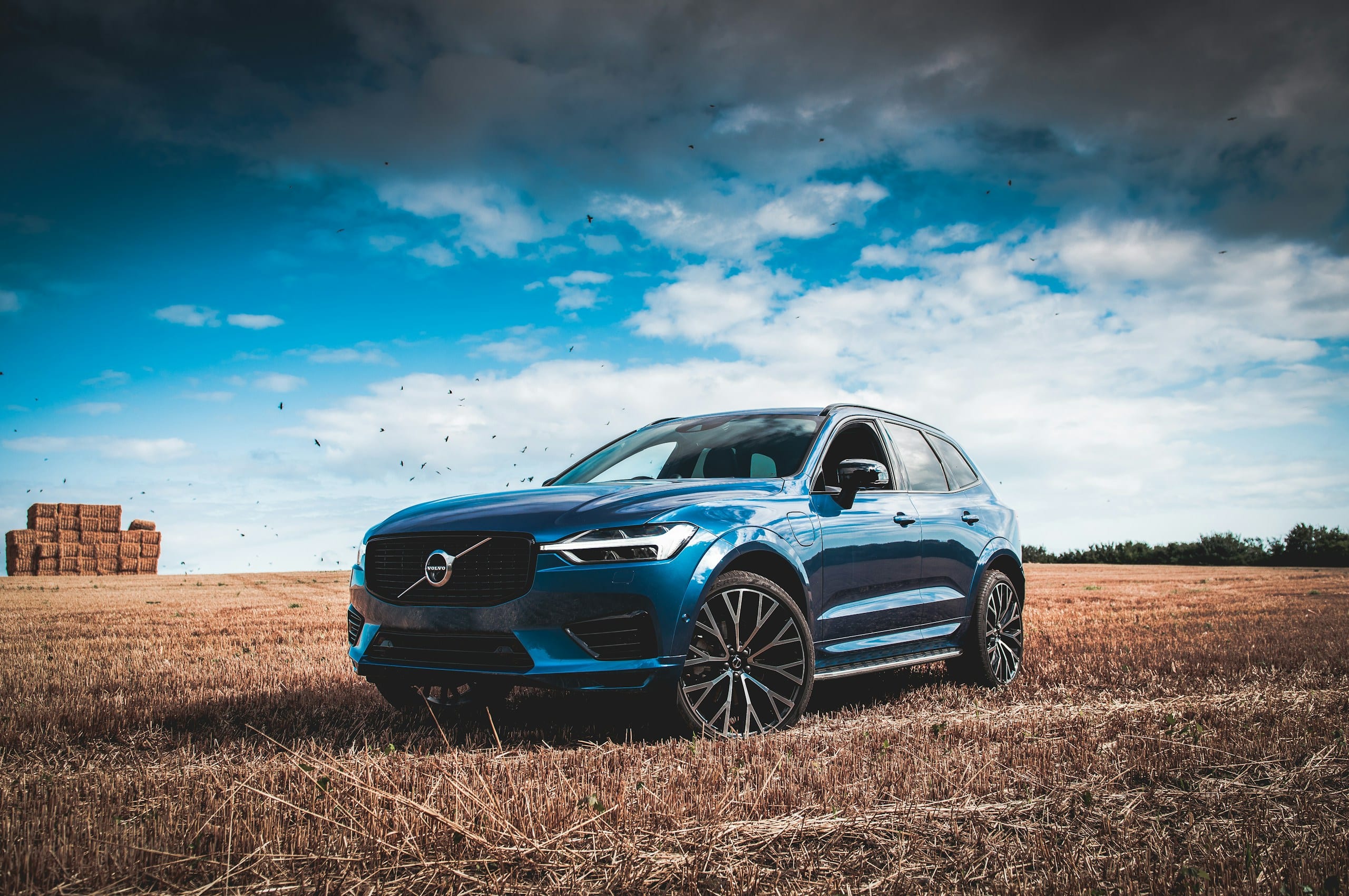 Blue Volvo XC60 in a field: Volvo Windshield Replacement, Blue Chip Auto Glass